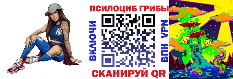 как найти наркотики  Сретенск  Псилоцибиновые грибы мицелий 